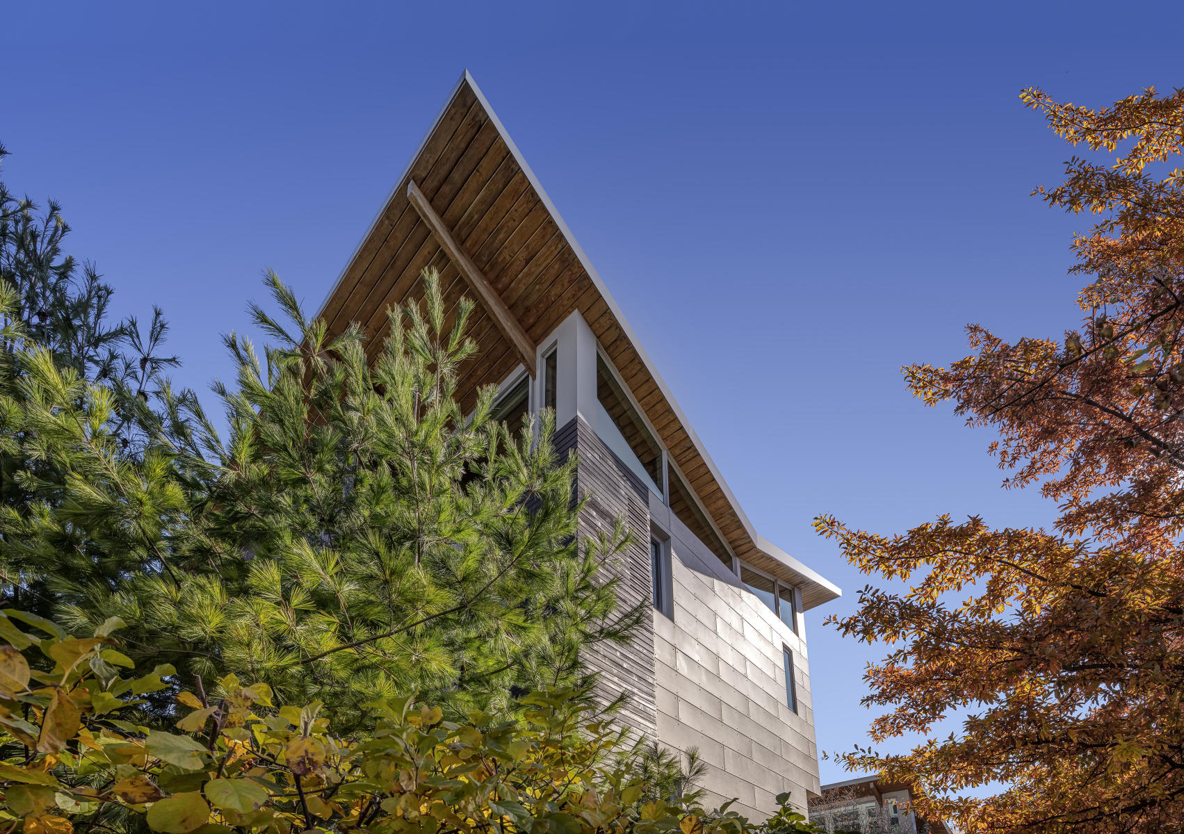 The Michael Yannell House / Net Zero House - 2009 - Farr Associates - Chicago