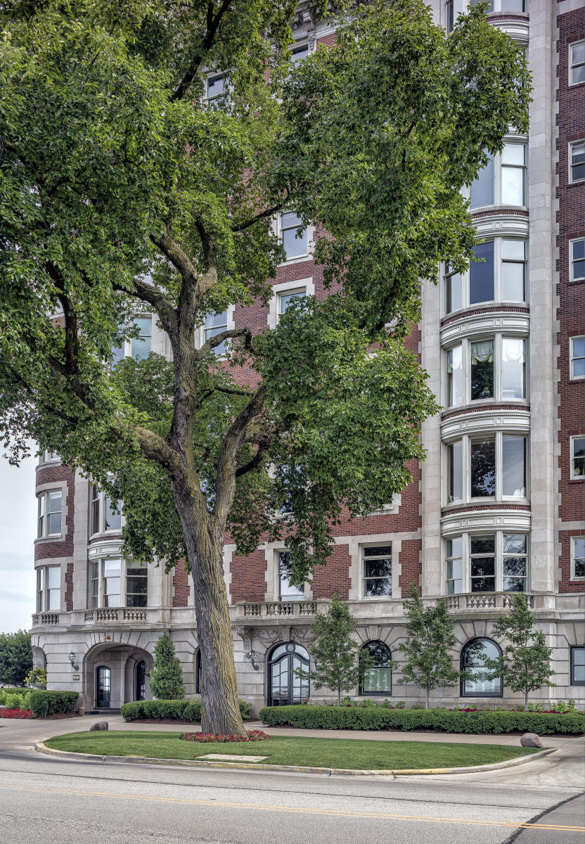 The 999 North Lake Shore Drive Building - 1912 - Benjamin Marshall - Chicago